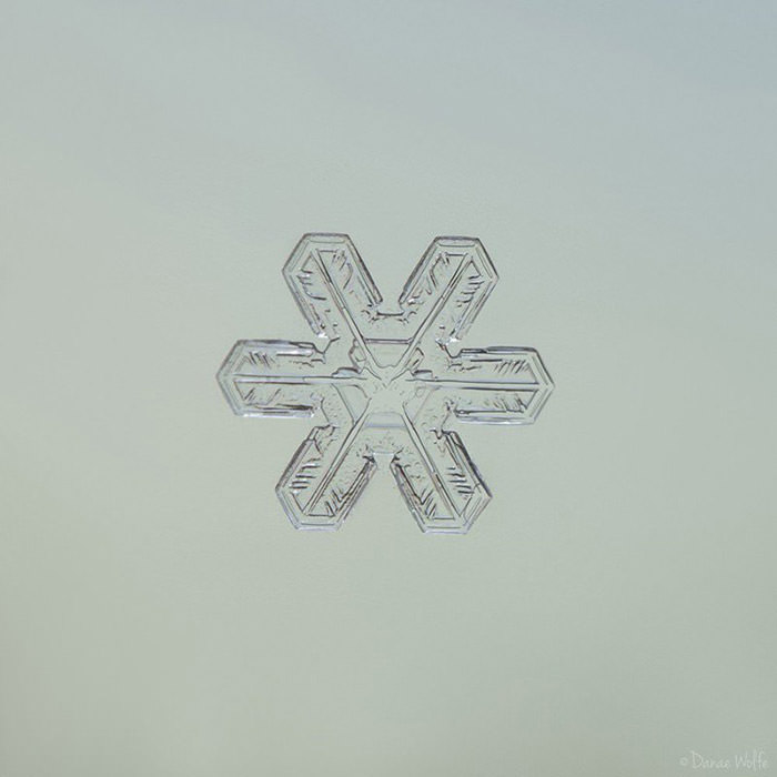 عکس ماکرو از دانه‌ی برف