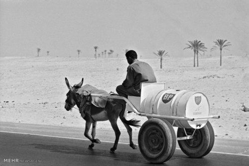 درس های بزرگ امارات