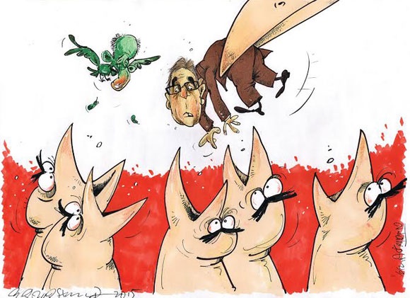 برانکو در پرسپولیس!/کاریکاتور