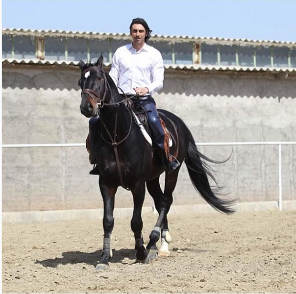 اسب سورای مهدی رحمتی/ عکس