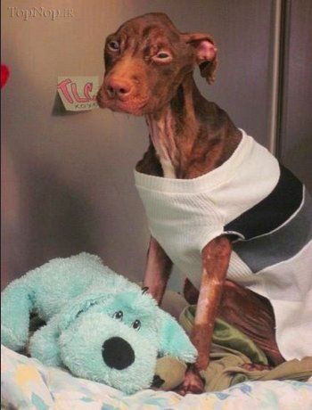 نجات از مرگ حتمی