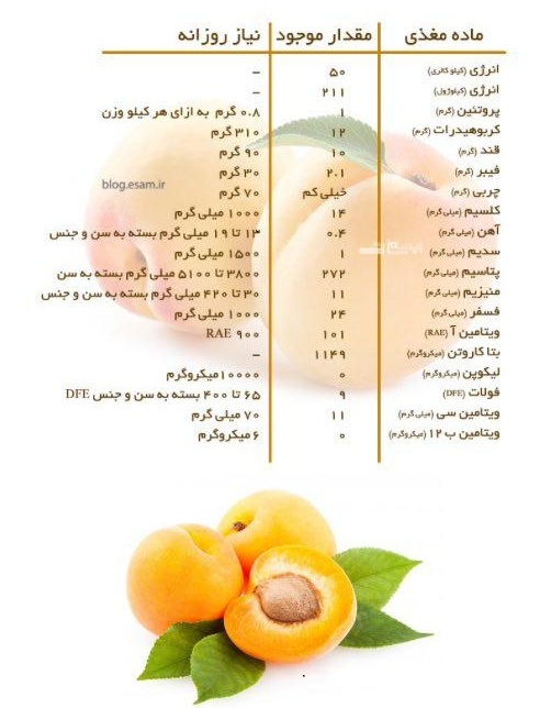 مواد مقذی موجود در زردآلو + اینفوگرافیک