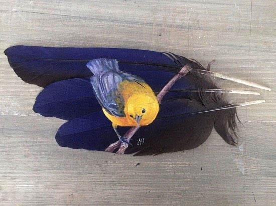 نقاشی بر روی پر پرندگان + عکس