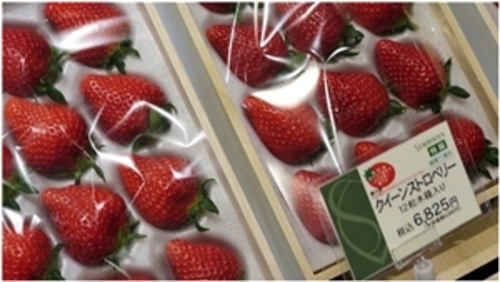  70 دلار برای توت فرنگی