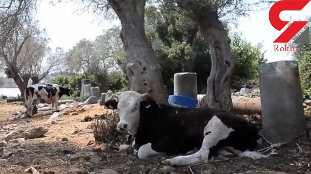 ÛŒÚ© Ø´Ù‡Ø± ØªØ§Ø±ÛŒØ®ÛŒ Ø¯Ø± ØªØ±Ú©ÛŒÙ‡ Ø¨Ù‡ ÙØ±ÙˆØ´ Ú¯Ø°Ø§Ø´ØªÙ‡ Ø´Ø¯! + Ø¹Ú©Ø³