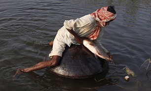 ماهیگیری جالب روی کوزه‌ها در پاکستان! + عکس