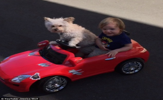 راننده شخصی پسر بچه چهار ساله+ تصاویر