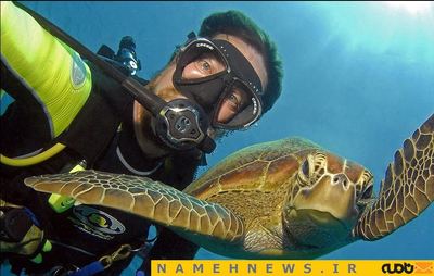 سلفی یکی از مستندسازان استرالایی با لاک پشت در اعماق دریا