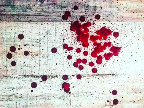 نقاشی کشیده شده توسط الناز شاکردوست