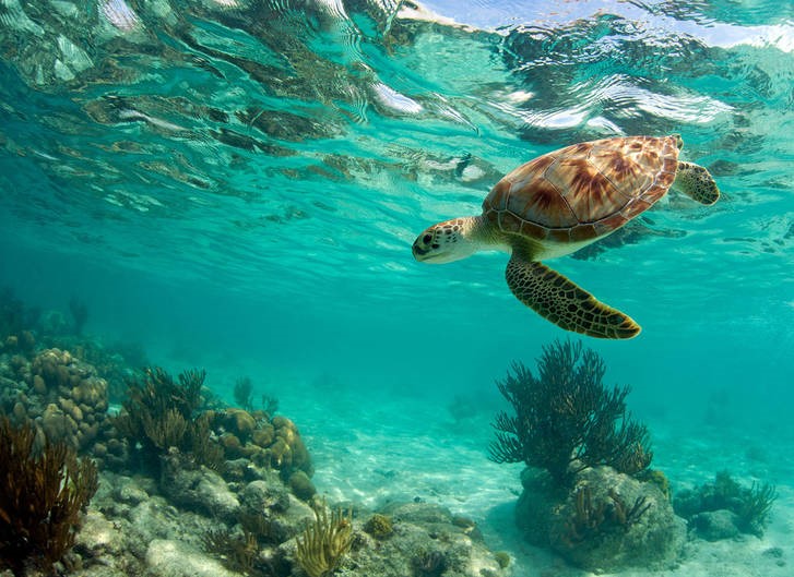 پایگاه تحلیلی خبری نامه نیوز