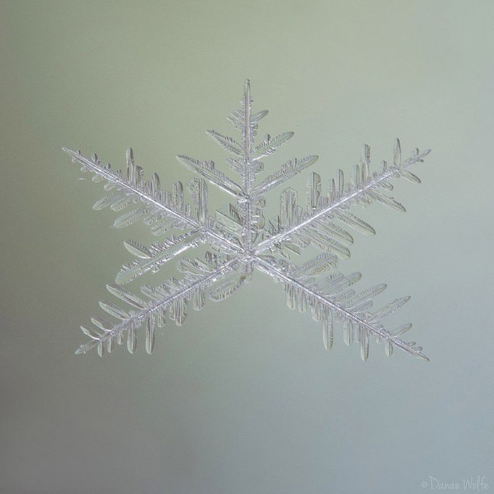 عکس ماکرو از دانه‌ی برف