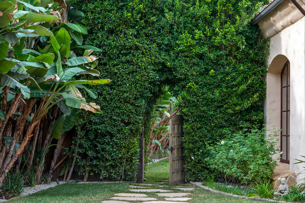 در میان دیواری که از گیاهان پوشیده شده یک در چوبی ساخته شده که همانند یک باغ مخفی است.